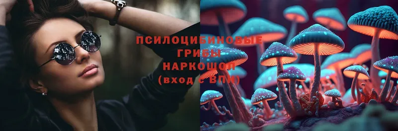 Псилоцибиновые грибы MAGIC MUSHROOMS  MEGA   Лобня 